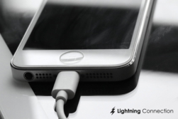 cozoy_lightning connection_800.jpg